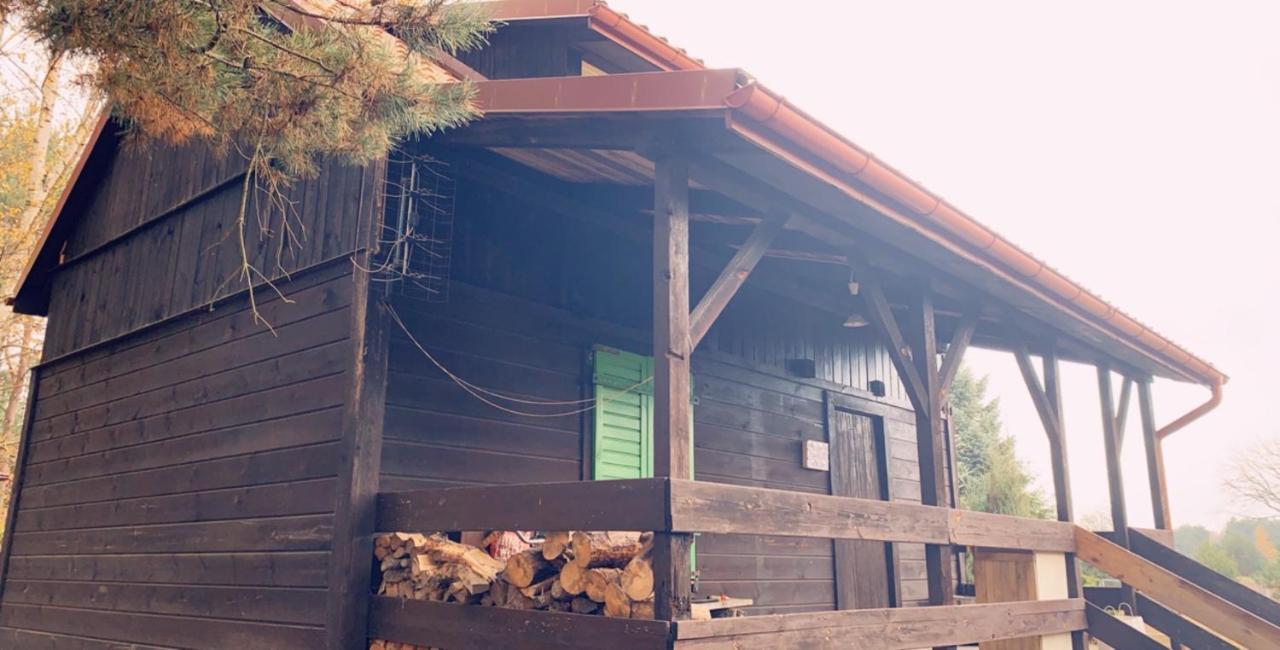 Dom Pod Sosnami Villa Rzewnie Exterior foto