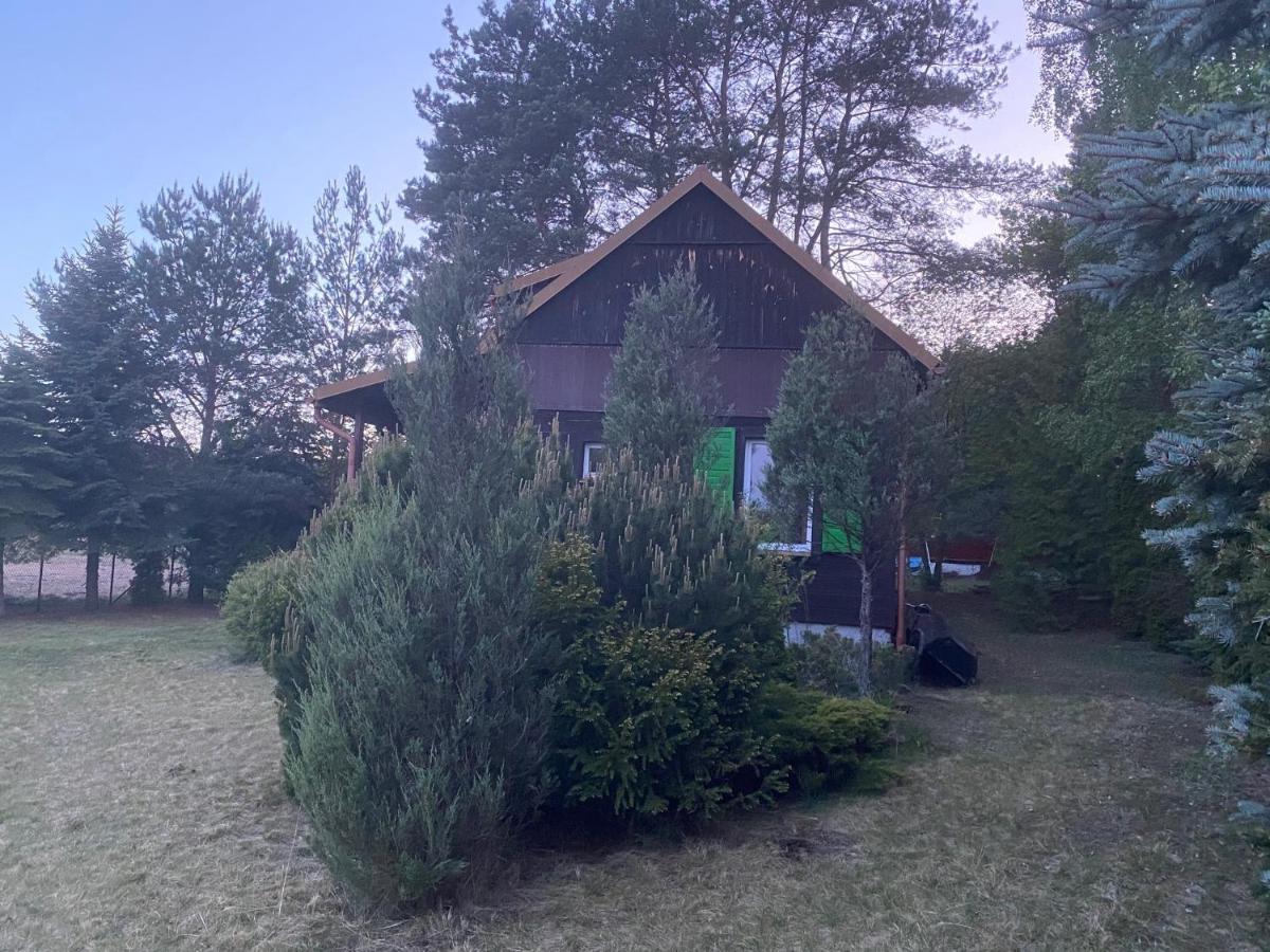 Dom Pod Sosnami Villa Rzewnie Exterior foto